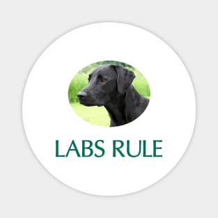 Black Labs Rule Magnet